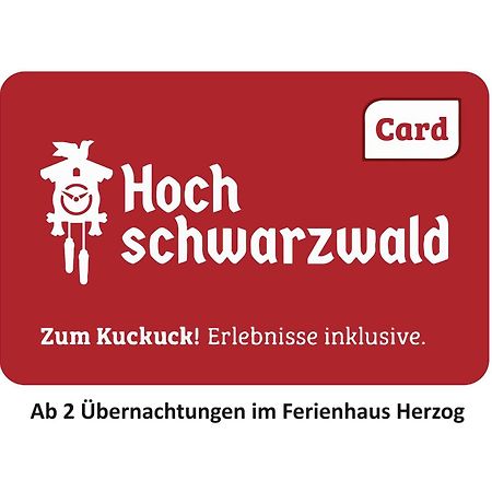 Ferienhaus Haus Herzog Titisee-Neustadt Exterior foto