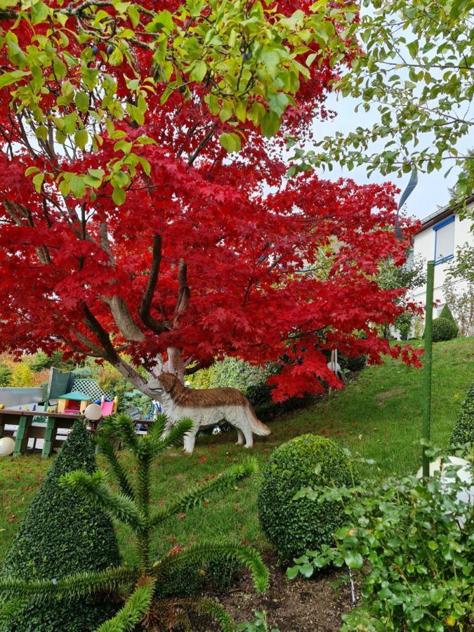 Ferienwohnung Ferienhaus Haus Herzog Titisee-Neustadt Exterior foto